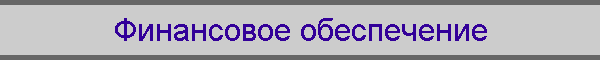 Финансовое обеспечение