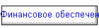 Финансовое обеспечение
