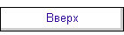 Вверх